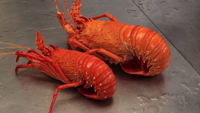 How to cook crayfish?